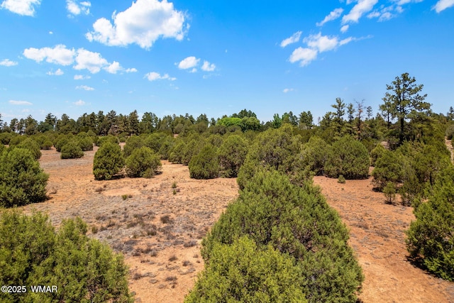 7104 State Route 260, Show Low, AZ 85901 - photo 4