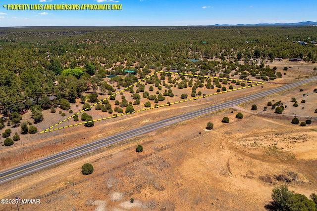 7104 State Route 260, Show Low, AZ 85901 - photo 2