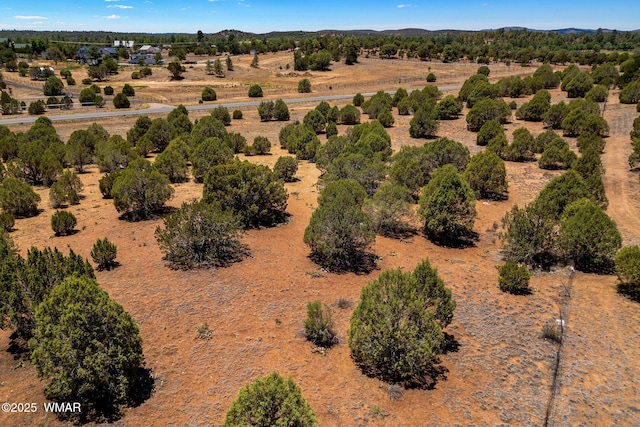 7104 State Route 260, Show Low, AZ 85901 - photo 3