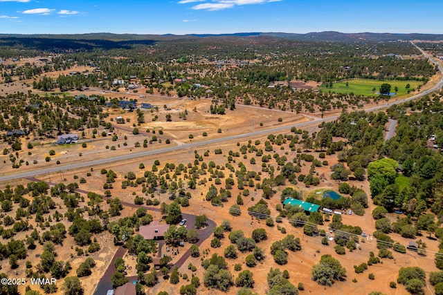 7104 State Route 260, Show Low, AZ 85901 - photo 10