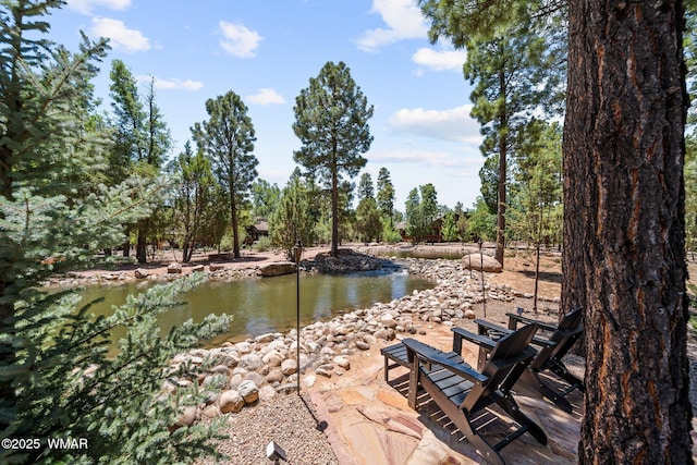 4683 Eagle Nest Ct, Lakeside, AZ 85929 - water view