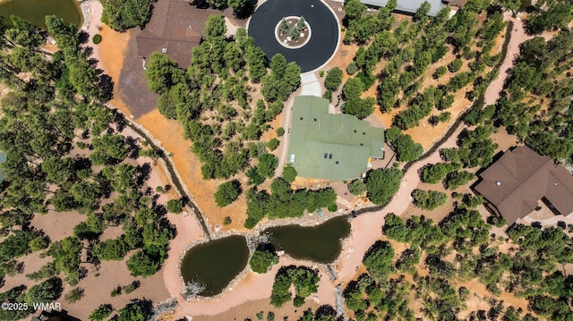 4683 Eagle Nest Ct, Lakeside, AZ 85929 - bird's eye view