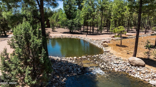 4683 Eagle Nest Ct, Lakeside, AZ 85929 - water view