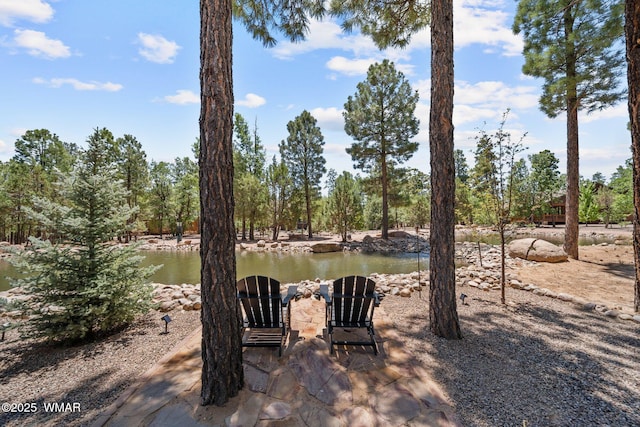 4683 Eagle Nest Ct, Lakeside, AZ 85929 - view of yard featuring a water view