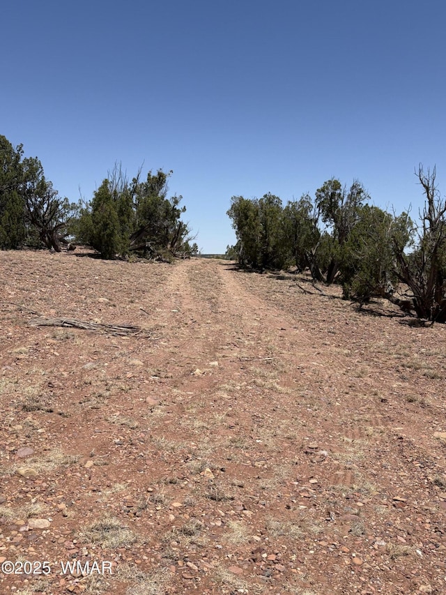 15D Lazy O Rd, Show Low, AZ 85901