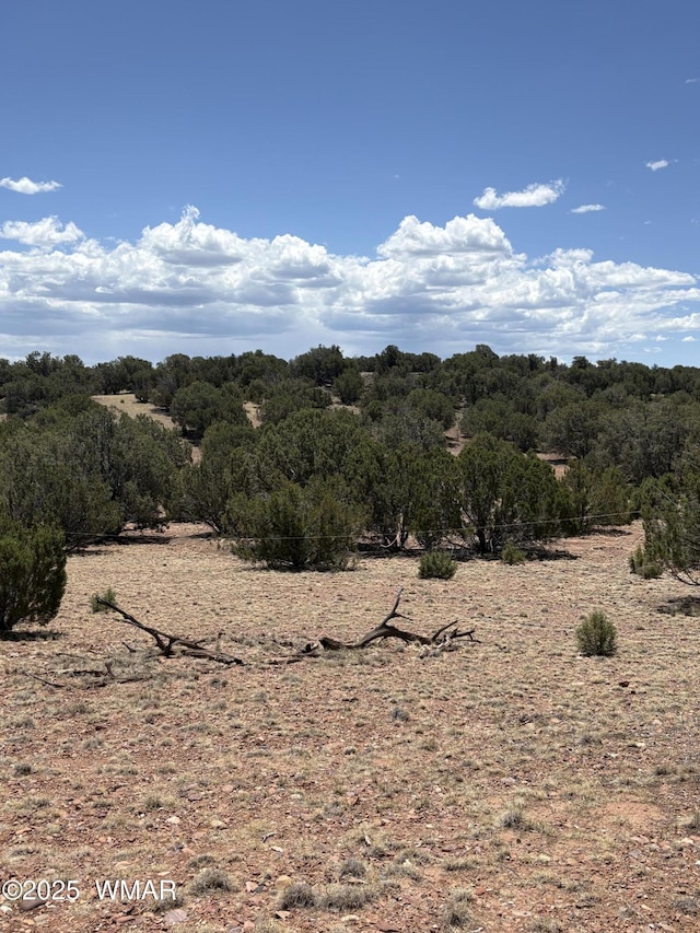 15D Lazy O Rd, Show Low, AZ 85901