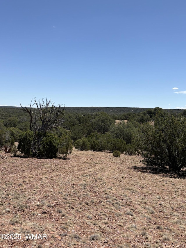 15D Lazy O Rd, Show Low, AZ 85901