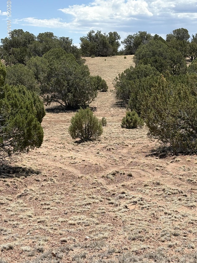 15D Lazy O Rd, Show Low, AZ 85901