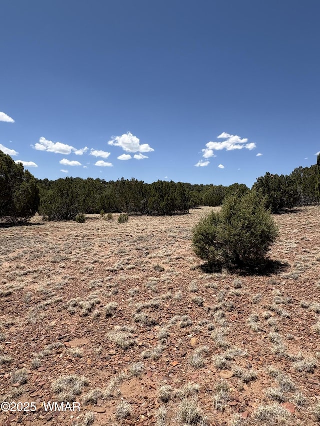 15D Lazy O Rd, Show Low, AZ 85901