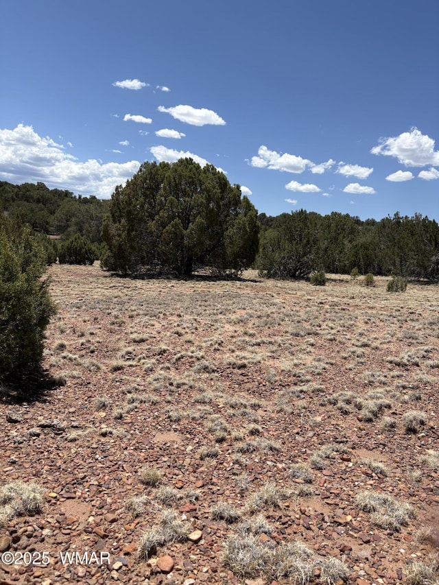 15D Lazy O Rd, Show Low, AZ 85901