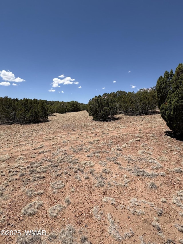 15D Lazy O Rd, Show Low, AZ 85901