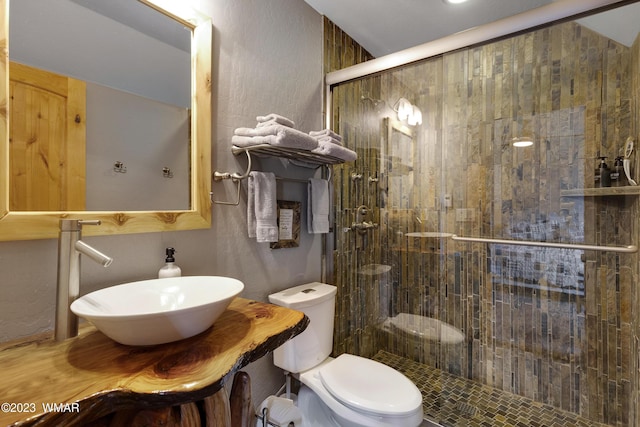 full bathroom featuring a sink, toilet, and a shower stall