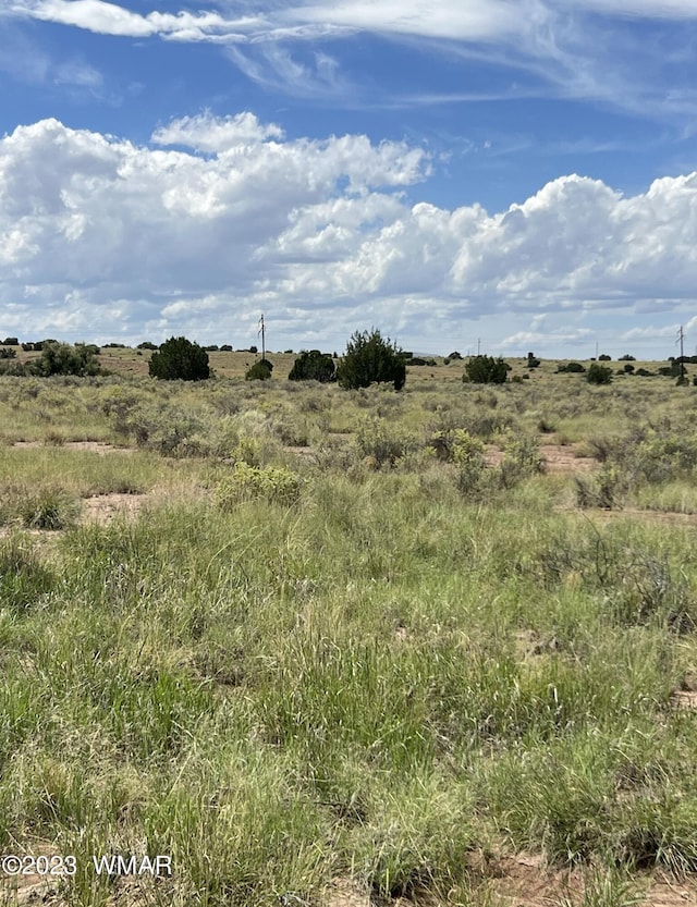 50 County Road 6019, Saint Johns, AZ 85936 - photo 1