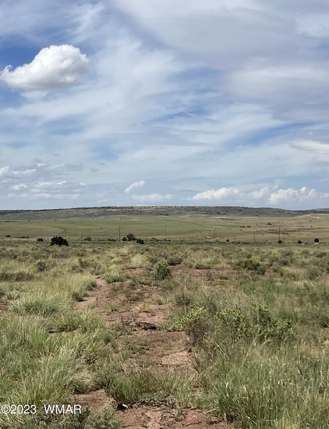 50 County Road 6019, Saint Johns, AZ 85936 - photo 4