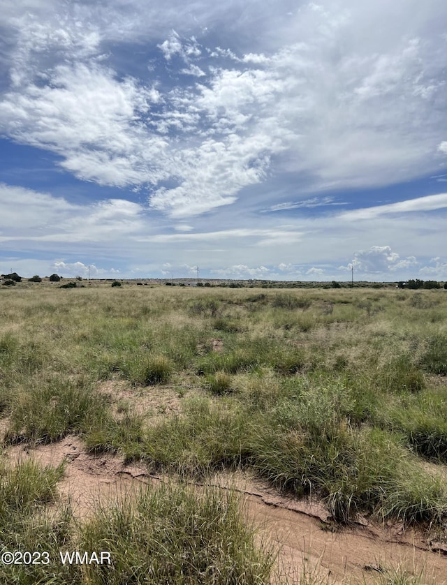50 County Road 6019, Saint Johns, AZ 85936 - photo 3