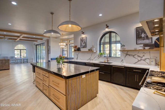 kitchen with light wood finished floors, tasteful backsplash, hanging light fixtures, a kitchen island, and a sink