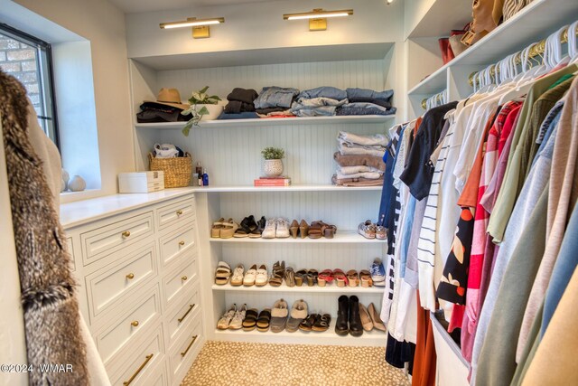 view of walk in closet