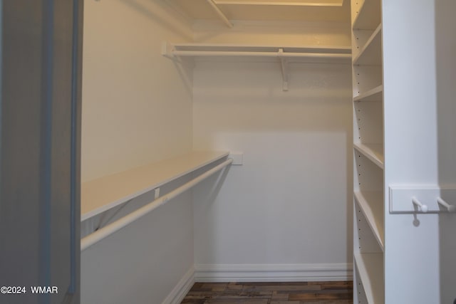 walk in closet with dark wood-style flooring