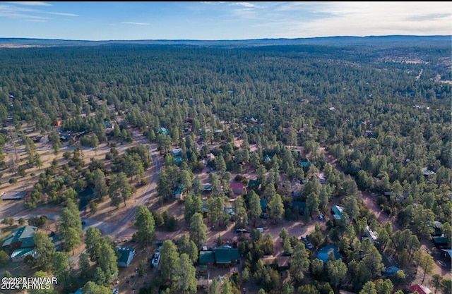 3131 State Route 277, Overgaard, AZ 85933 - aerial view of property's location with a forest