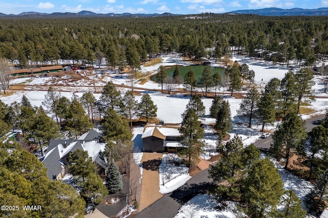 bird's eye view featuring a mountain view and a forest view