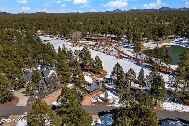 drone / aerial view with a view of trees and a mountain view