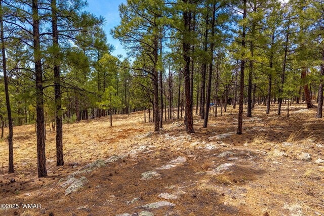 2526 Well Water Rd, Happy Jack, AZ 86024 - photo 10
