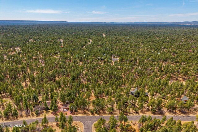 2526 Well Water Rd, Happy Jack, AZ 86024 - photo 14