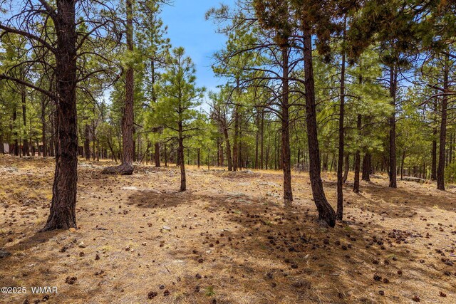 2526 Well Water Rd, Happy Jack, AZ 86024 - photo 9