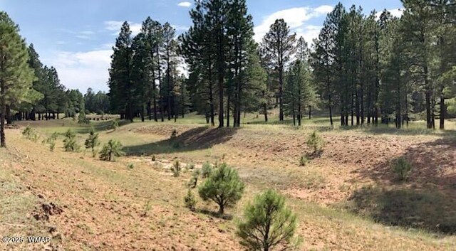 2526 Well Water Rd, Happy Jack, AZ 86024 - photo 15