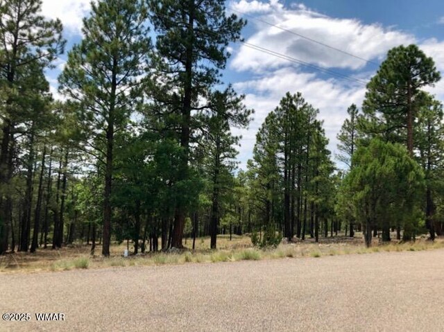 2526 Well Water Rd, Happy Jack, AZ 86024 - photo 4