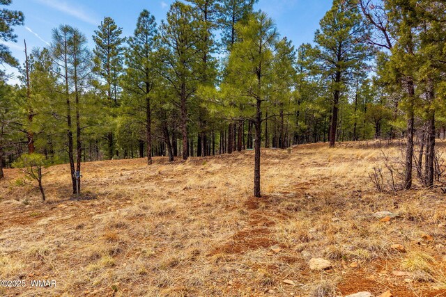 2526 Well Water Rd, Happy Jack, AZ 86024 - photo 11