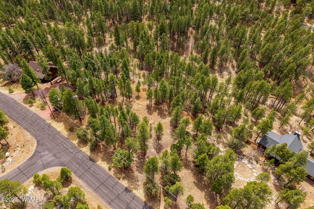 2526 Well Water Rd, Happy Jack, AZ 86024 - photo 13
