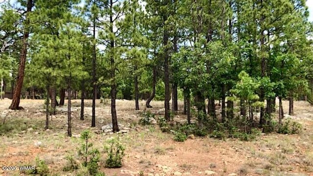 2526 Well Water Rd, Happy Jack, AZ 86024 - photo 6