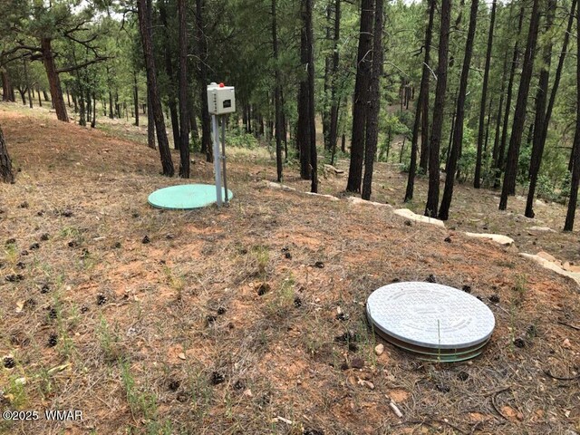 2526 Well Water Rd, Happy Jack, AZ 86024 - photo 3