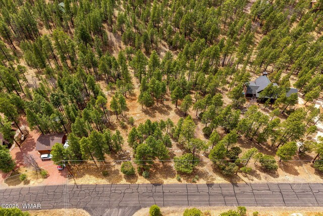 2526 Well Water Rd, Happy Jack, AZ 86024 - photo 12