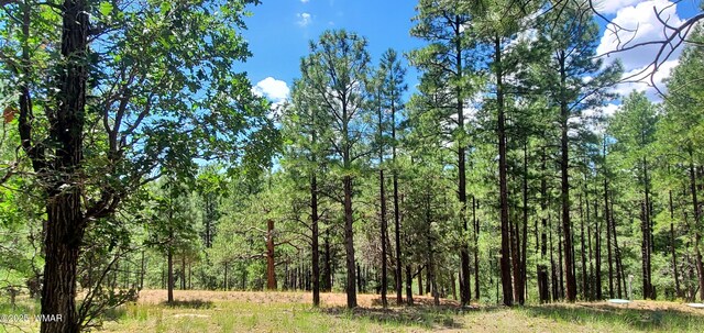 2526 Well Water Rd, Happy Jack, AZ 86024 - photo 1