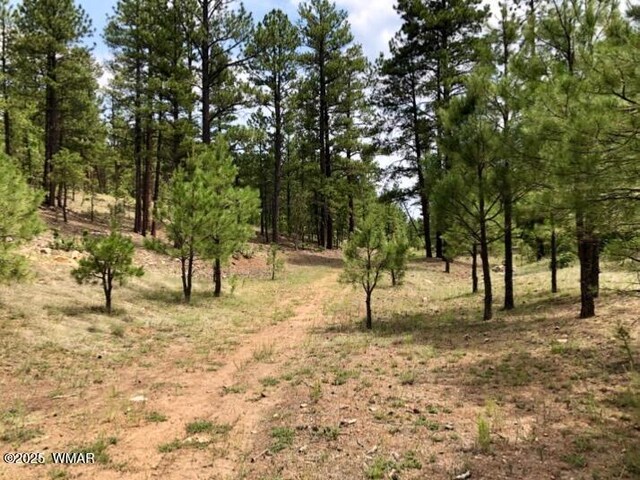2526 Well Water Rd, Happy Jack, AZ 86024 - photo 16