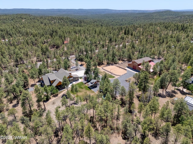 5192 Hilltop Dr, Lakeside, AZ 85929 - photo 1
