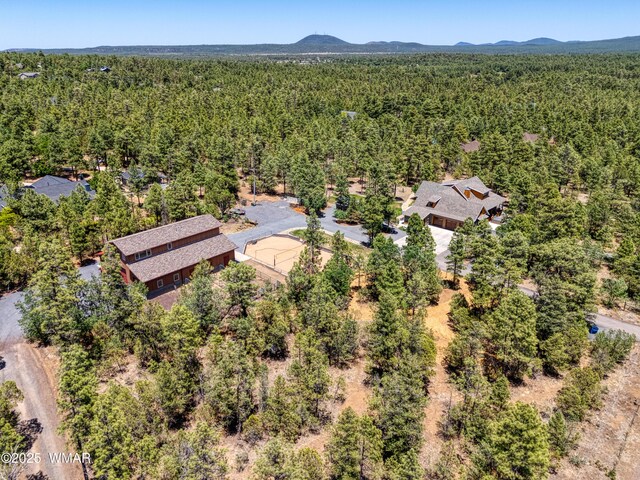5192 Hilltop Dr, Lakeside, AZ 85929 - photo 73