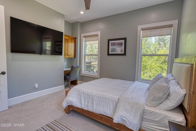 5192 Hilltop Dr, Lakeside, AZ 85929 - photo 28