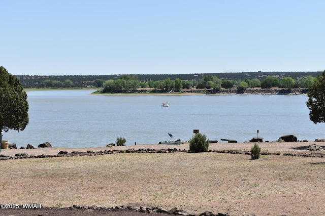 1949 Norton Pl, Show Low, AZ 85901 - water view