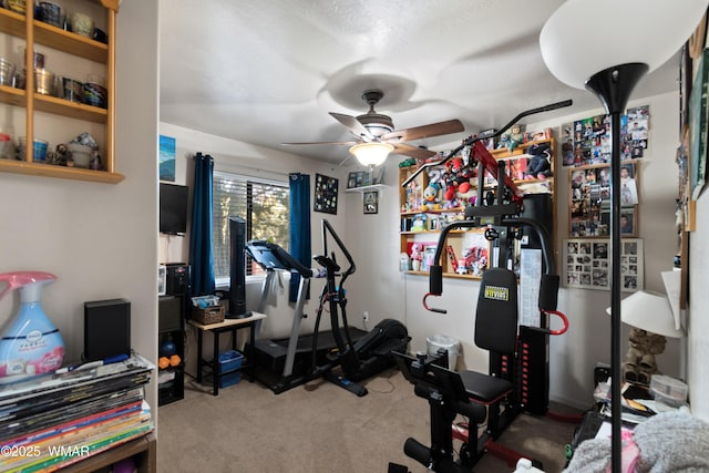 1275 Flag Hollow Rd, Lakeside, AZ 85929 - exercise room with a ceiling fan and carpet flooring