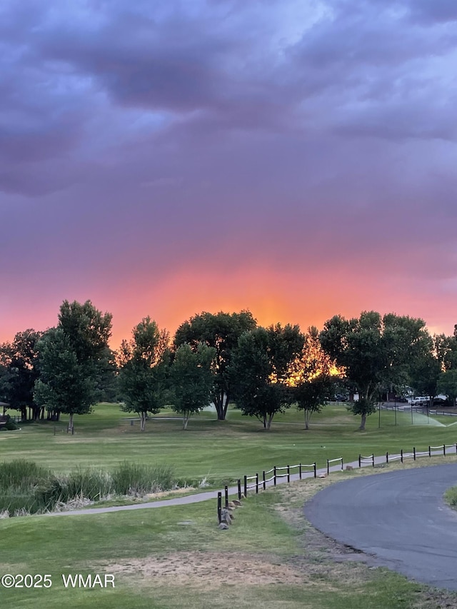 1421 N 36th Dr, Show Low, AZ 85901 - view of home's community featuring a yard