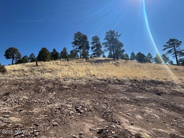 6 County Road 2331, Alpine, AZ 85920