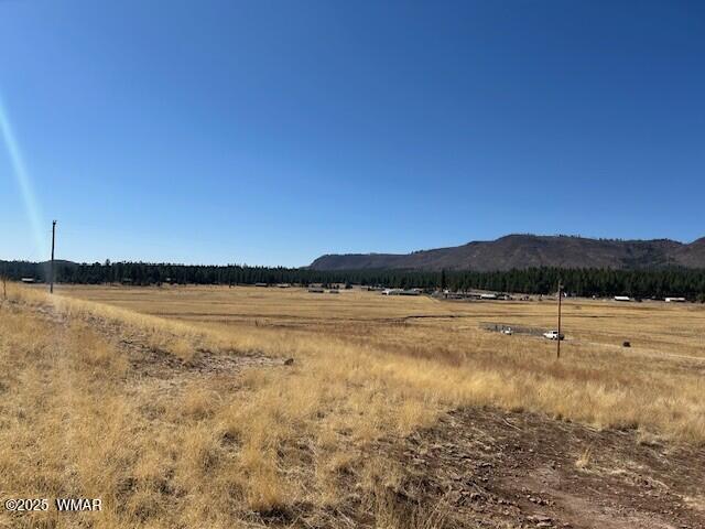6 County Road 2331, Alpine, AZ 85920