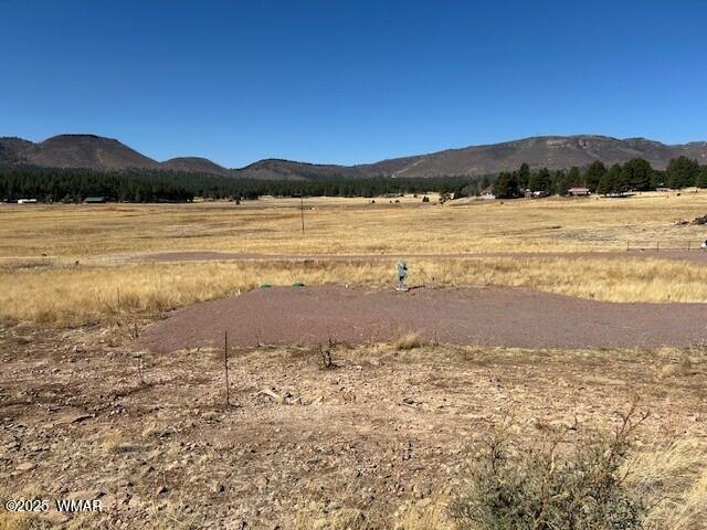 6 County Road 2331, Alpine, AZ 85920