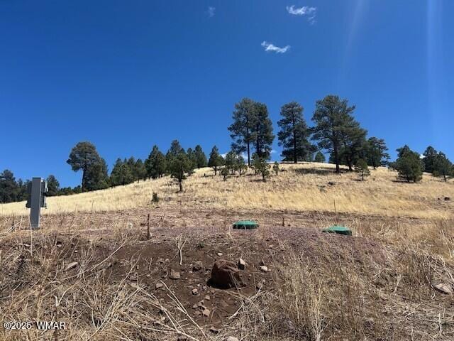6 County Road 2331, Alpine, AZ 85920