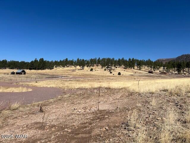 6 County Road 2331, Alpine, AZ 85920