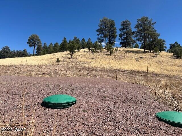 6 County Road 2331, Alpine, AZ 85920