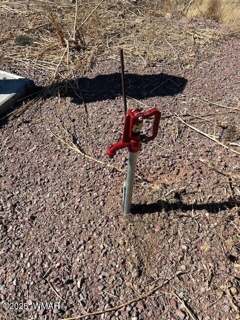 6 County Road 2331, Alpine, AZ 85920